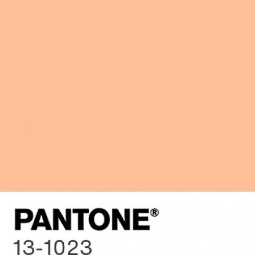 2024 Pantone Colour Peach Fuzz